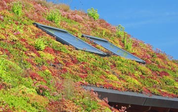 New Boultham living roof systems